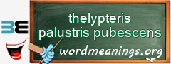 WordMeaning blackboard for thelypteris palustris pubescens